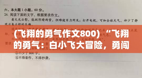 (飞翔的勇气作文800) “飞翔的勇气：白小飞大冒险，勇闯未知挑战”的故事重现